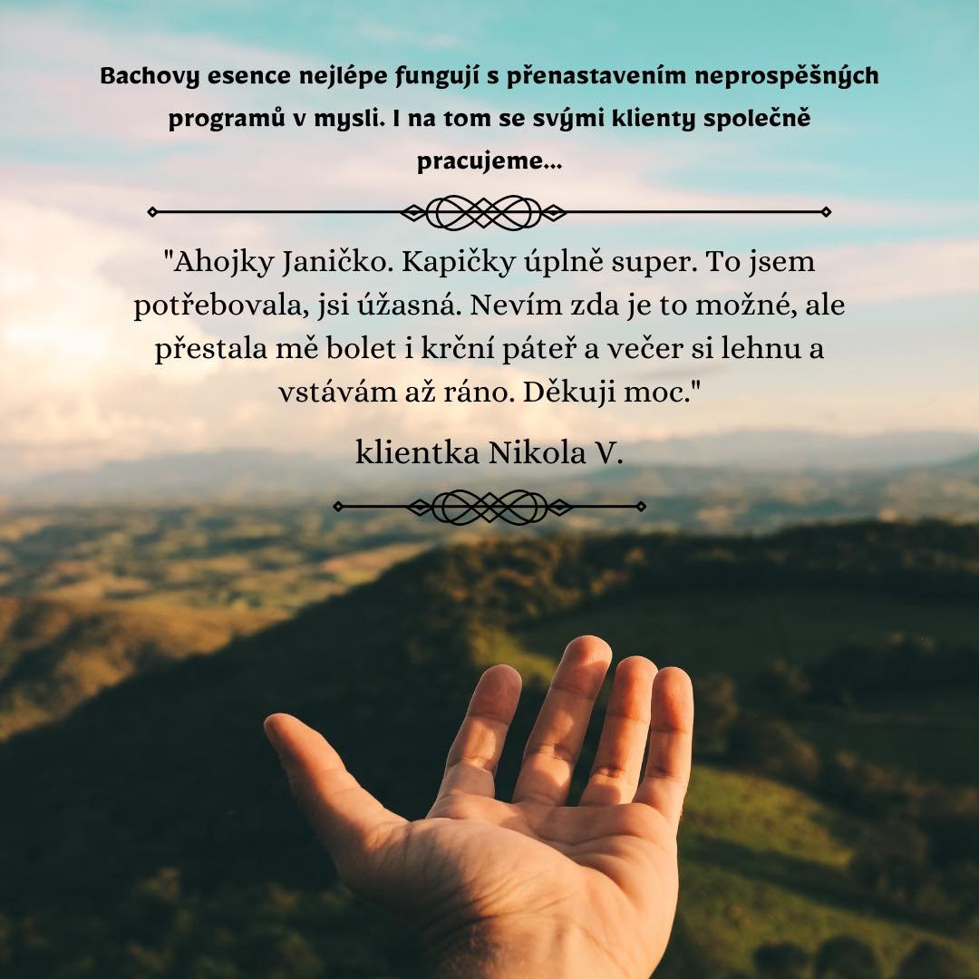 Bachovy esence nejlépe fungují s přenastavením neprospěšných programů v mysli